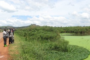 Lubigi Wetland, Uganda